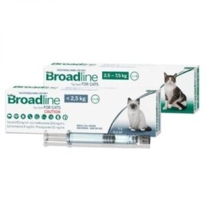 BROADLINE GATO