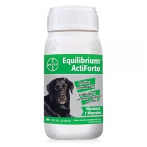EQUILIBRIUM VITAMINAS ACTIFORTE