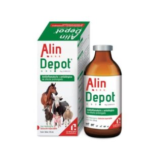 ALIN DEPOT